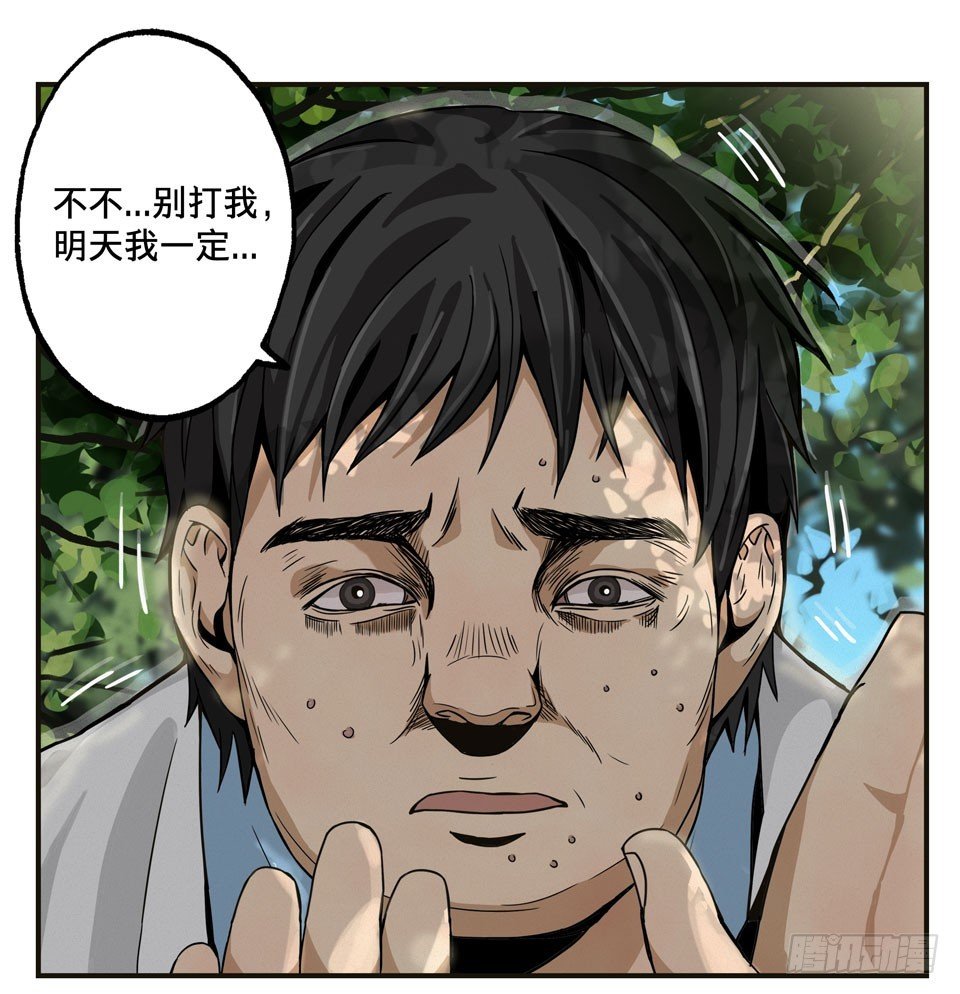 龟-中