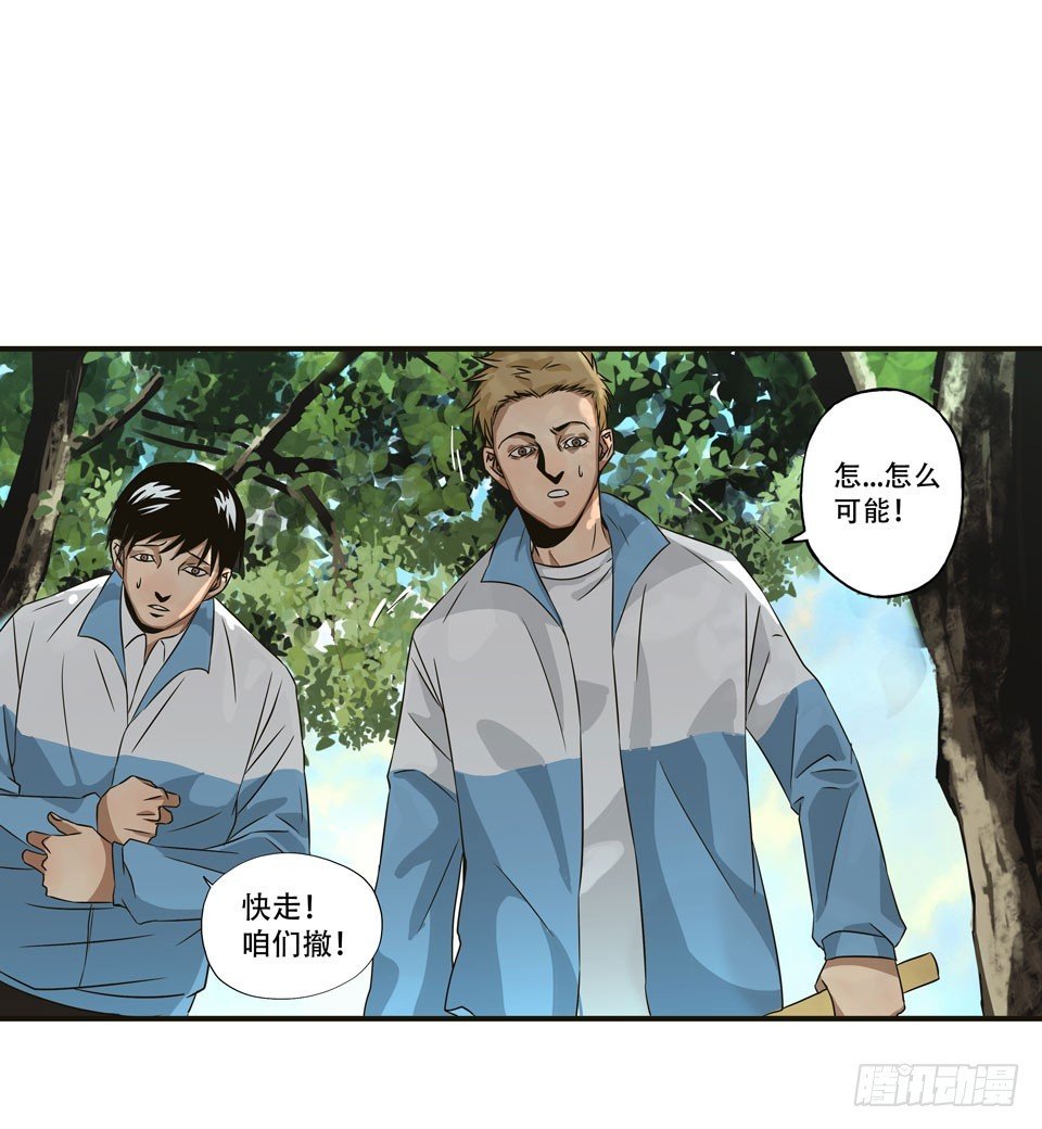 龟-中