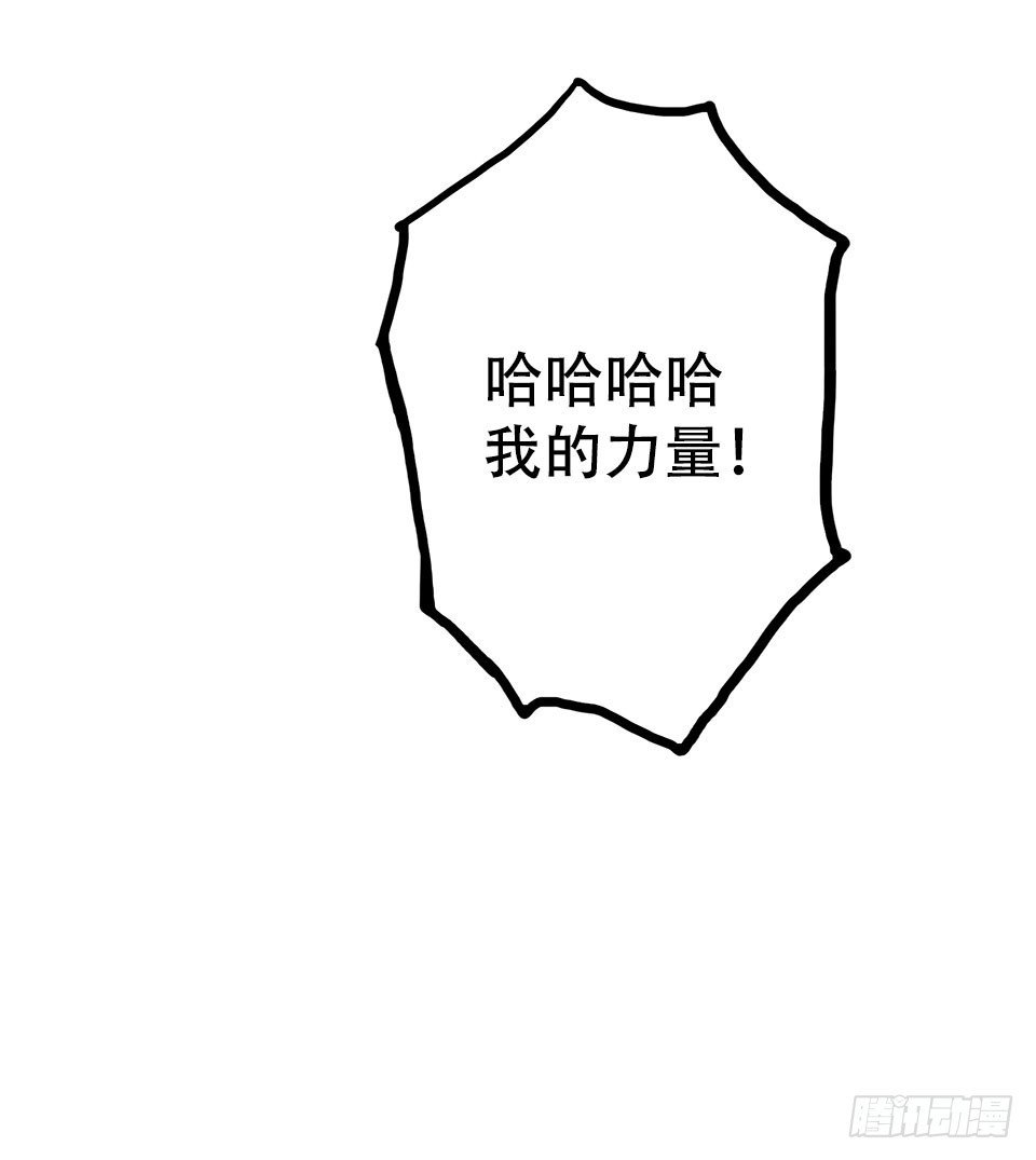 龟-中