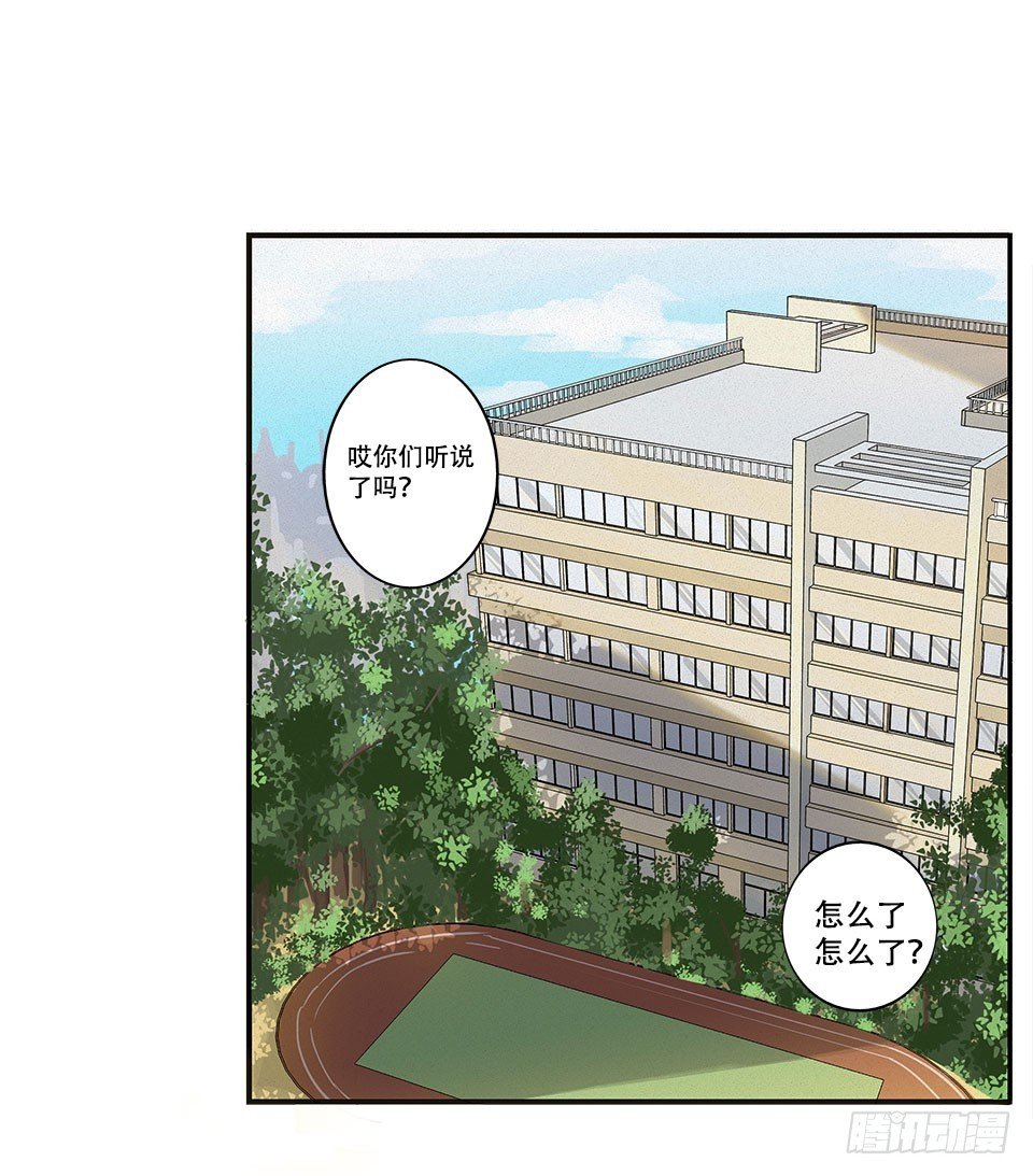 龟-中