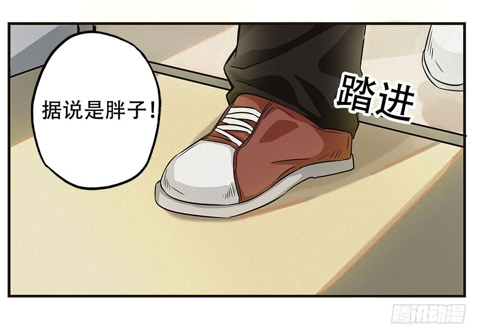 龟-中