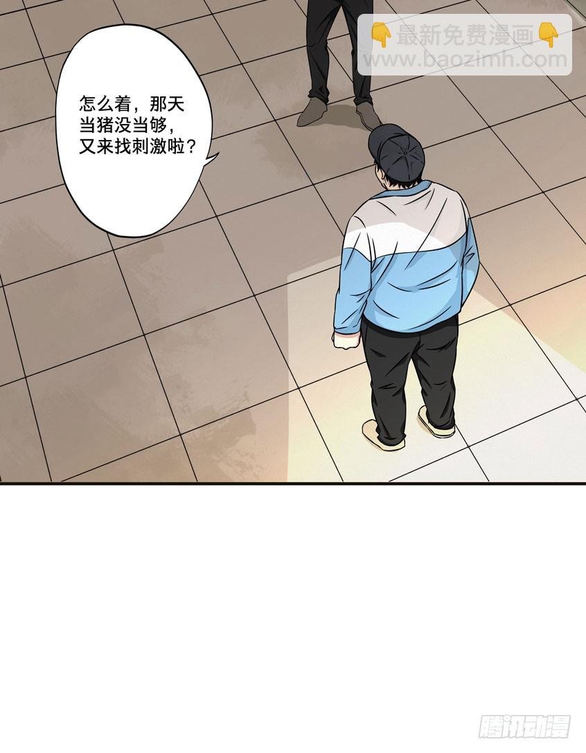 龟-中
