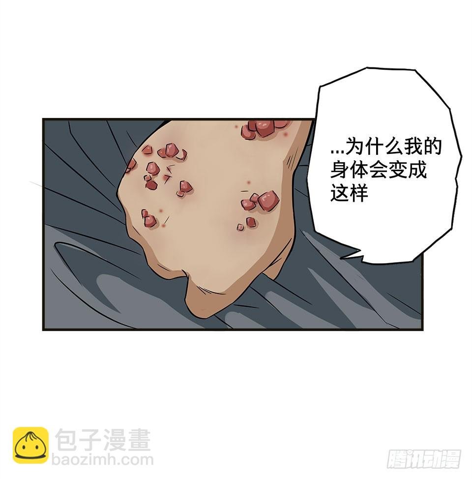 龟-下