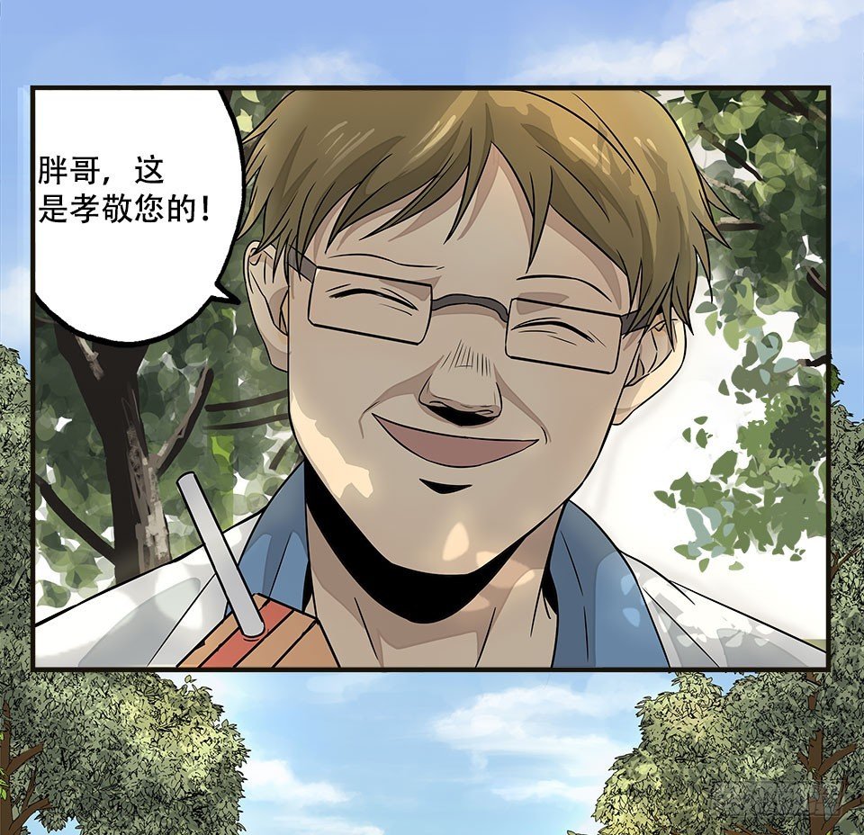 龟-下