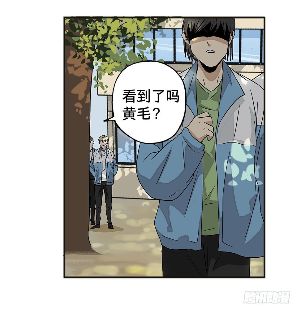 龟-下