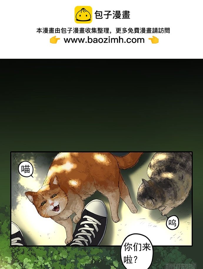 猫-1