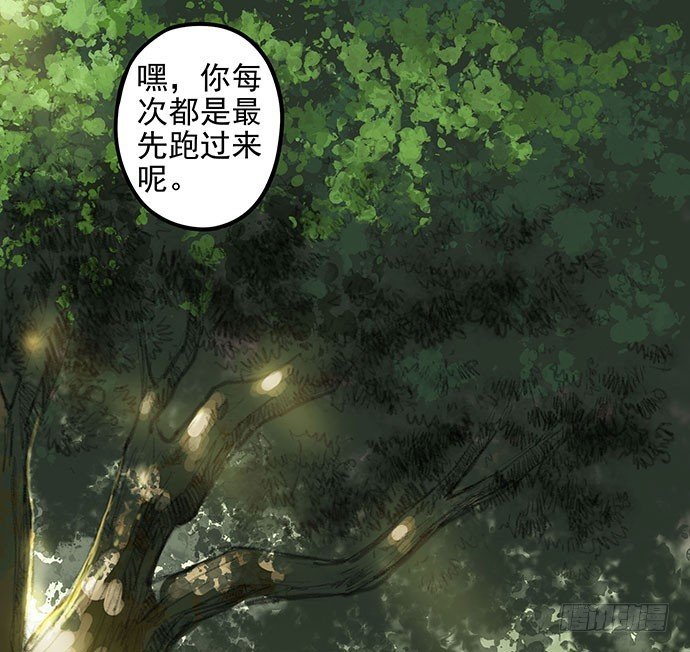 猫-1