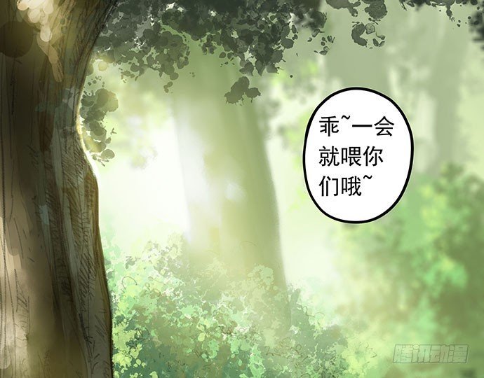 猫-1