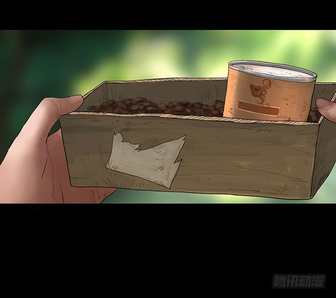 猫-1