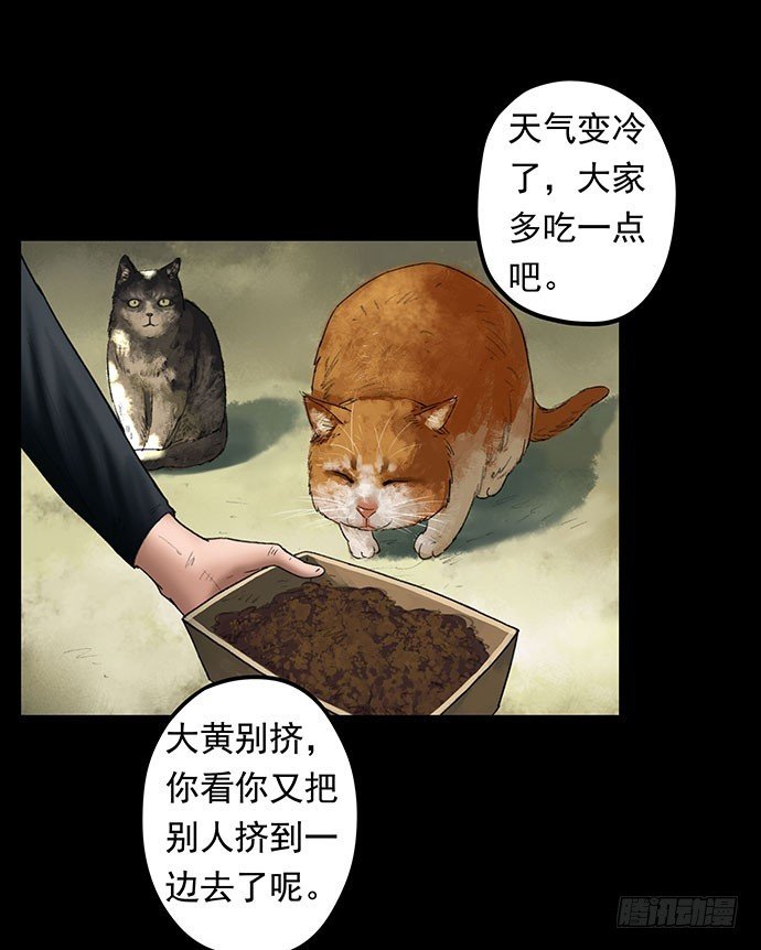 猫-1
