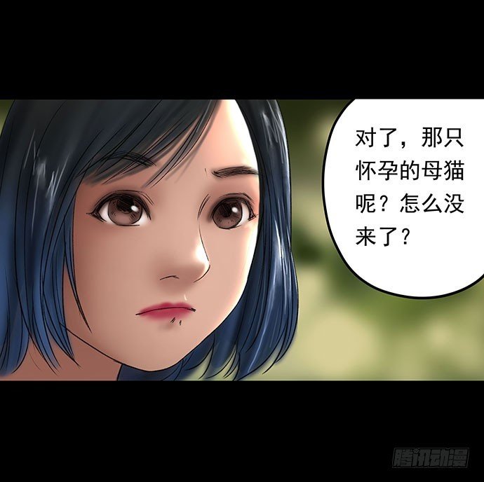 猫-1