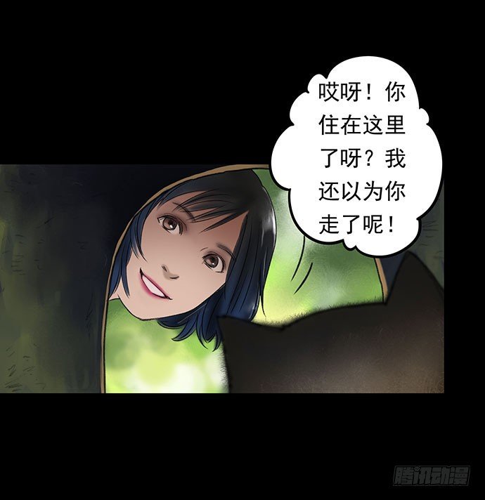 猫-1