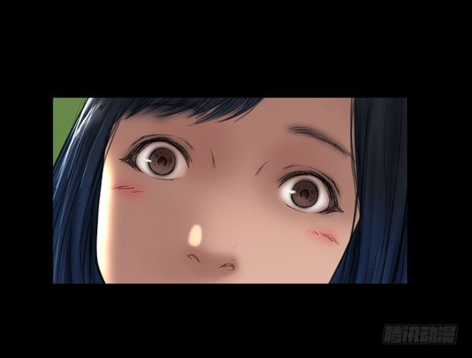 猫-1
