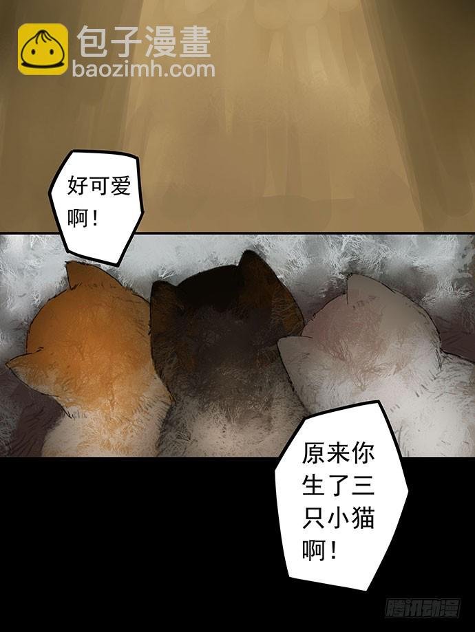 猫-1