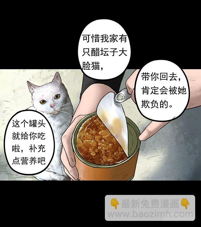 猫-1