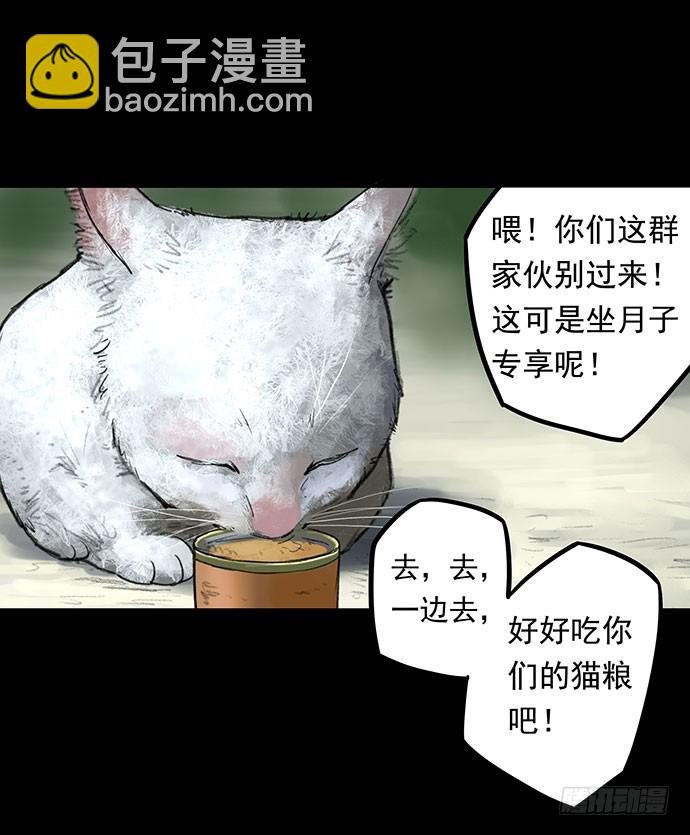 猫-1