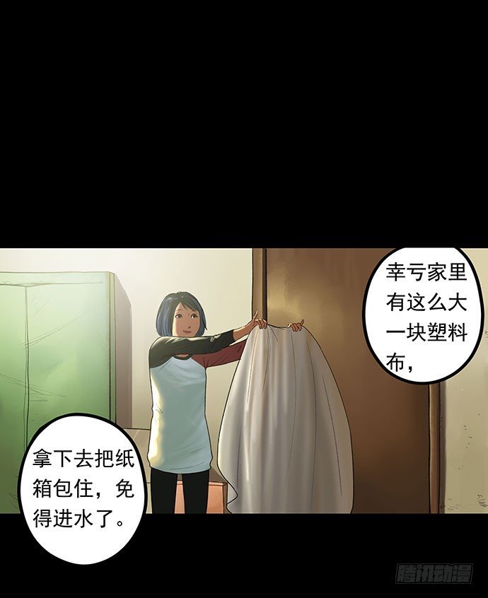 猫-1