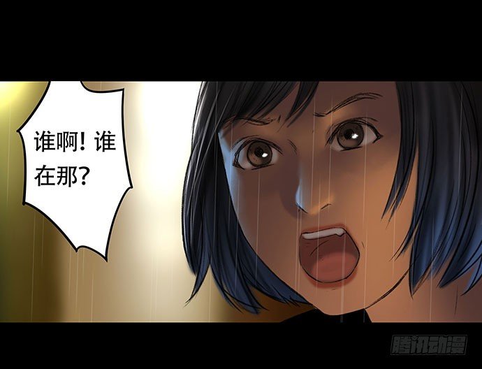 猫-1