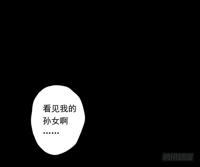 猫-1