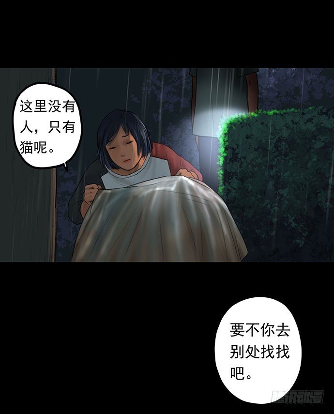 猫-1