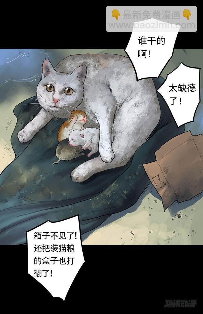 猫-1
