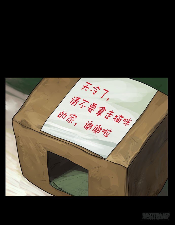 猫-1