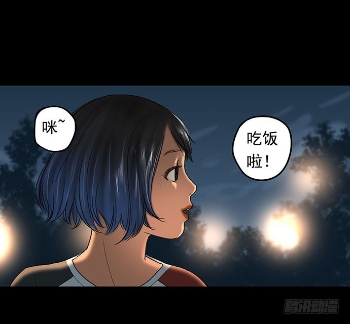 猫-1