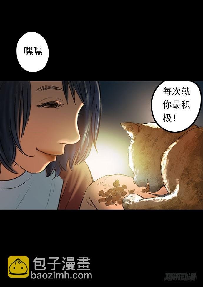 猫-1