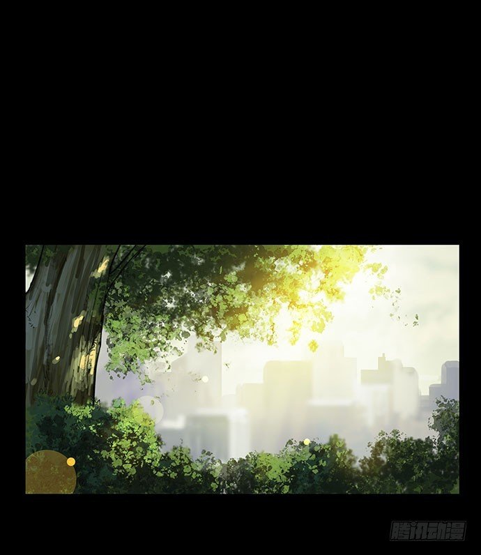 猫-2