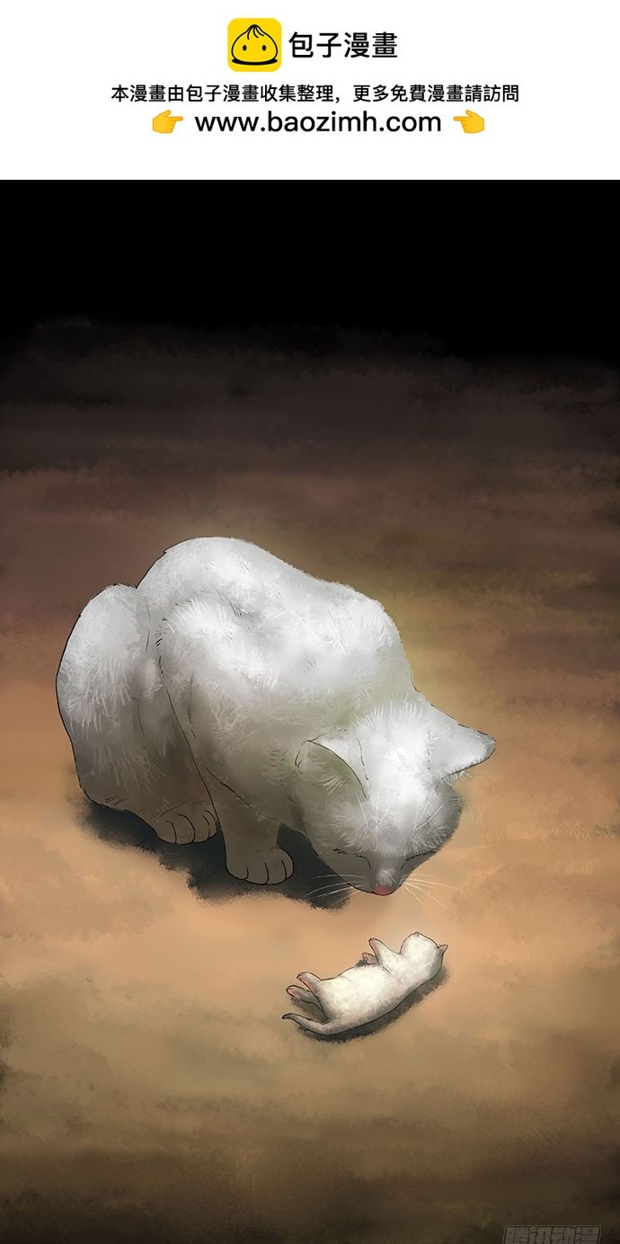 猫-2