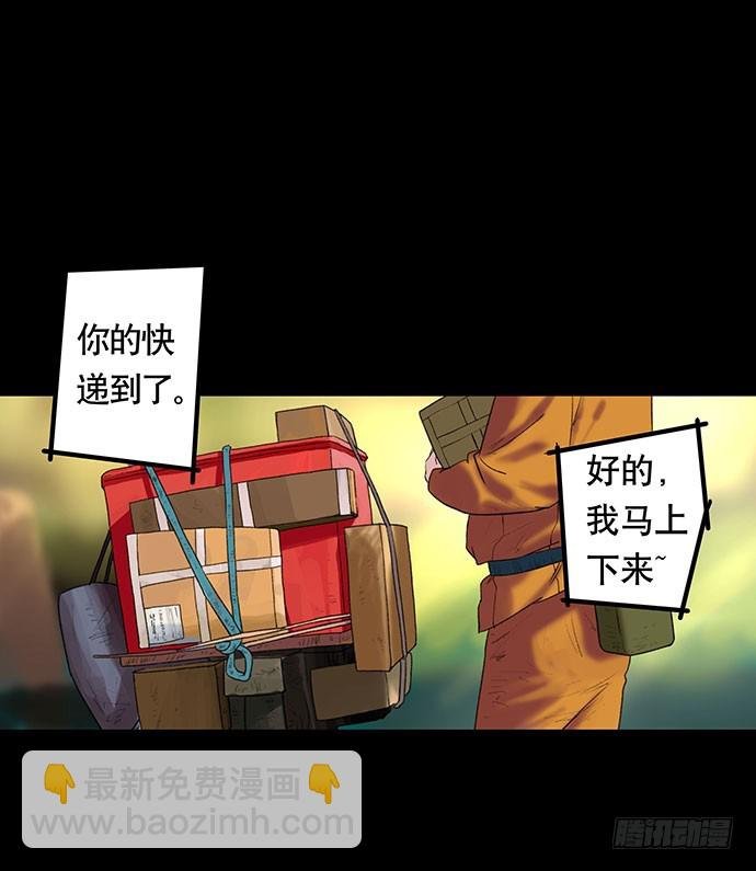 猫-2