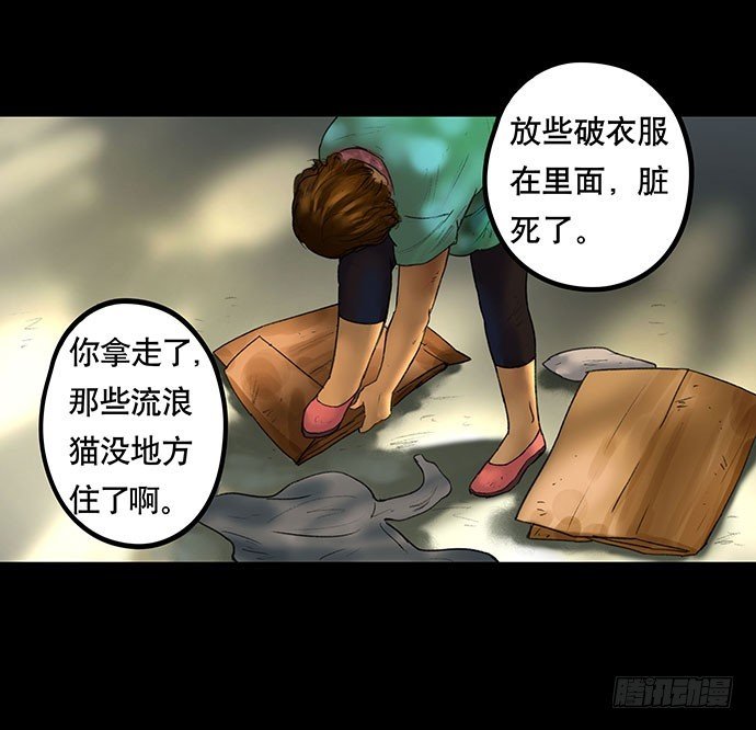 猫-2