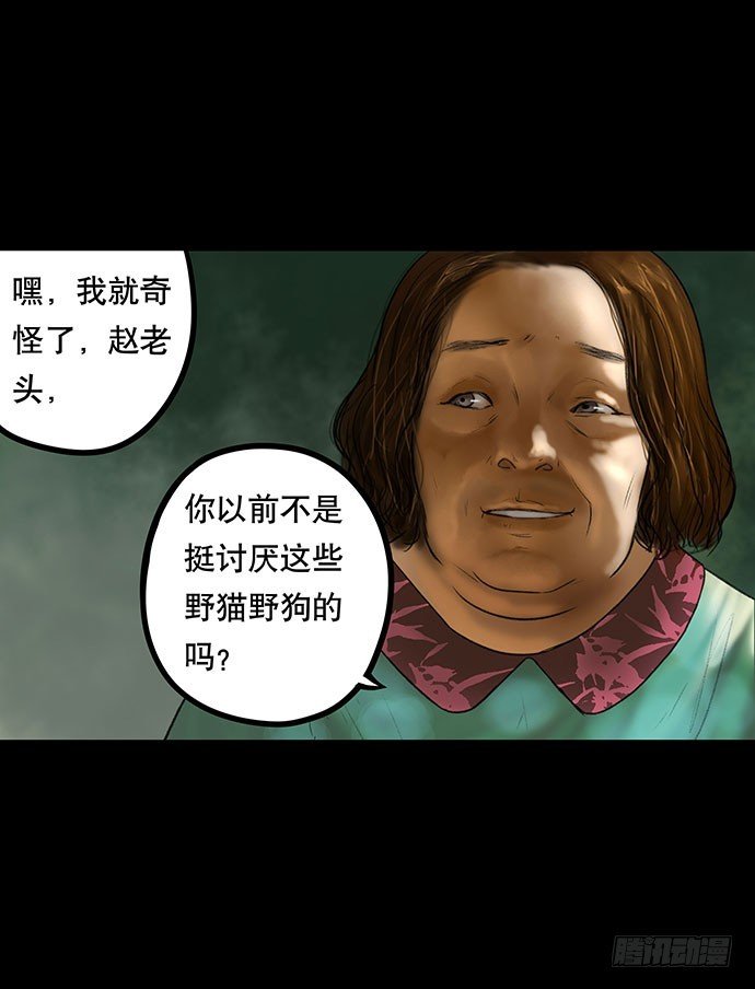 猫-2