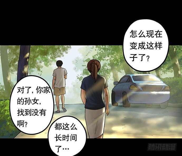 猫-2