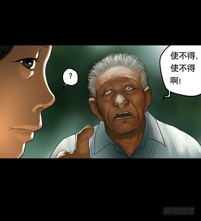 猫-2