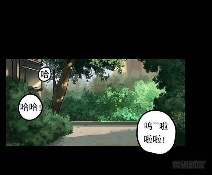 猫-2