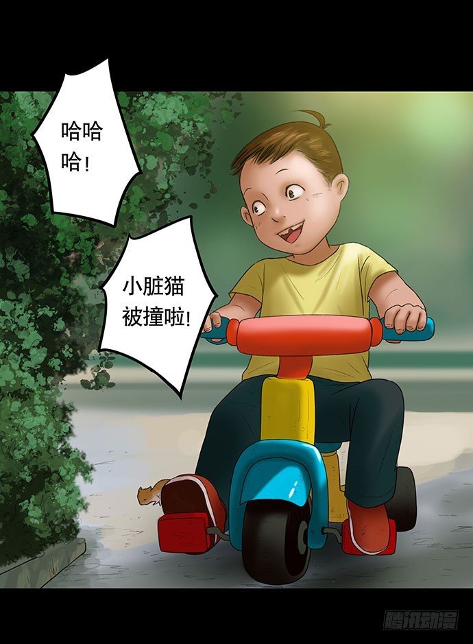 猫-2