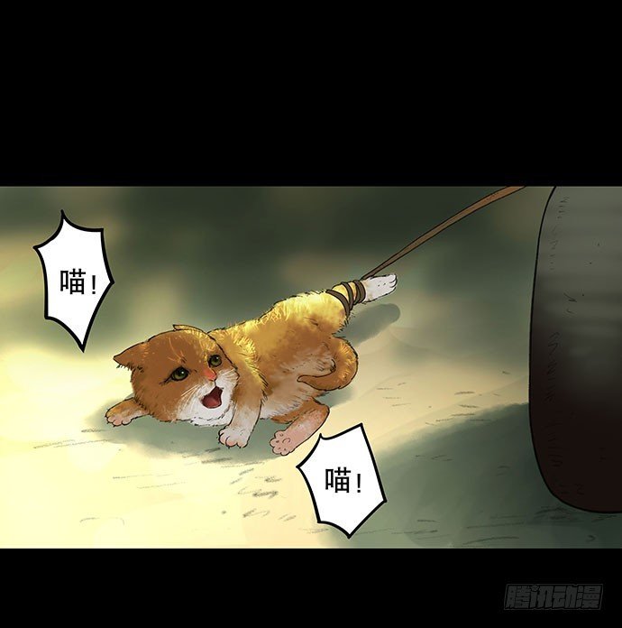 猫-2