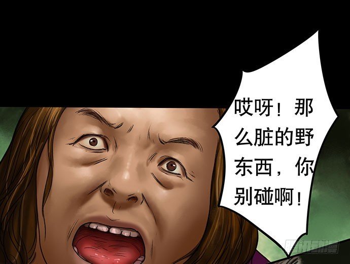 猫-2