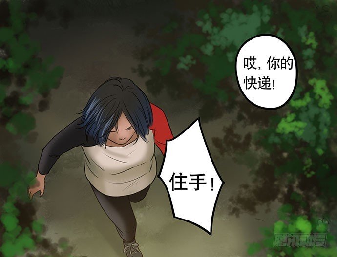 猫-2