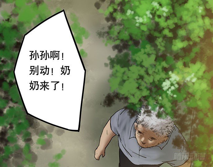 猫-2