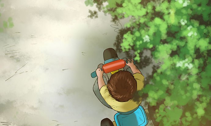 猫-2