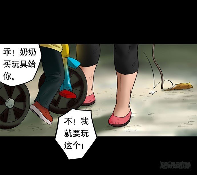 猫-2
