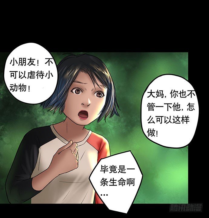 猫-2