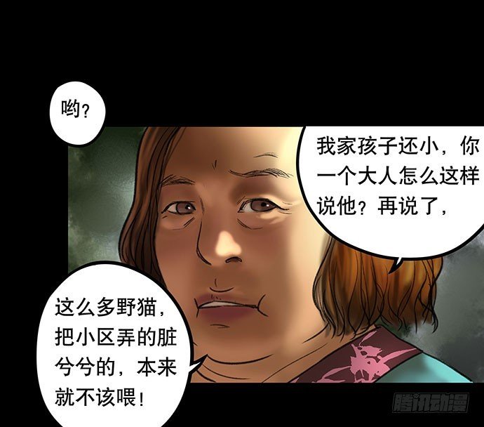 猫-2