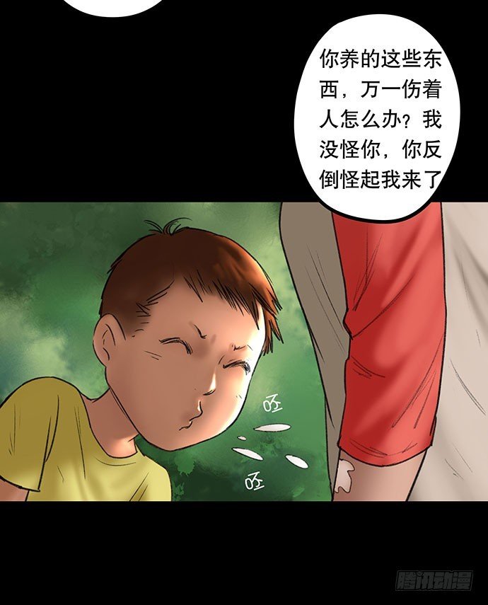 猫-2
