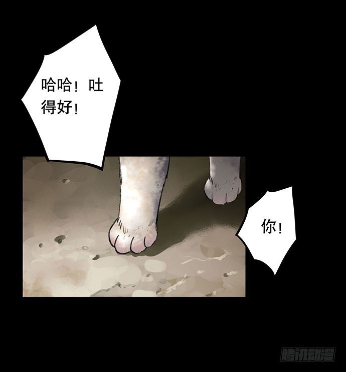 猫-2