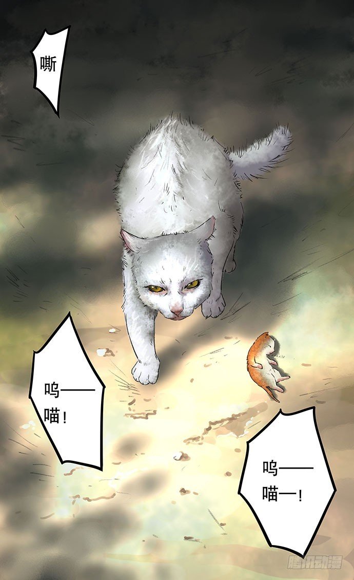 猫-2
