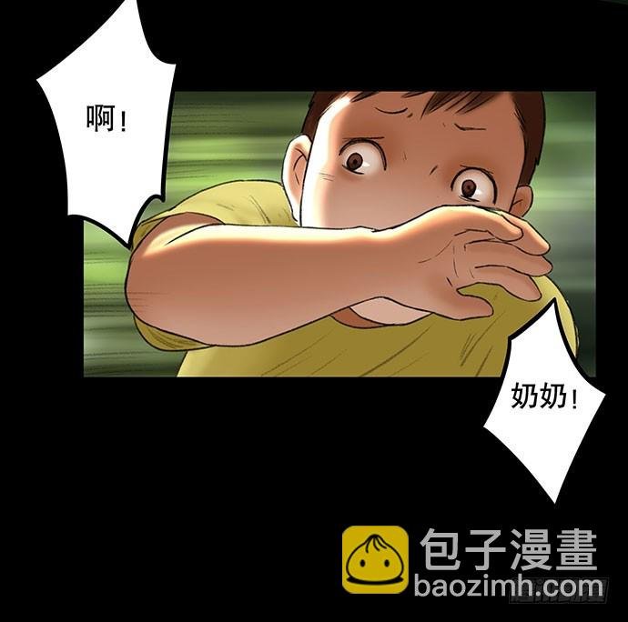 猫-2