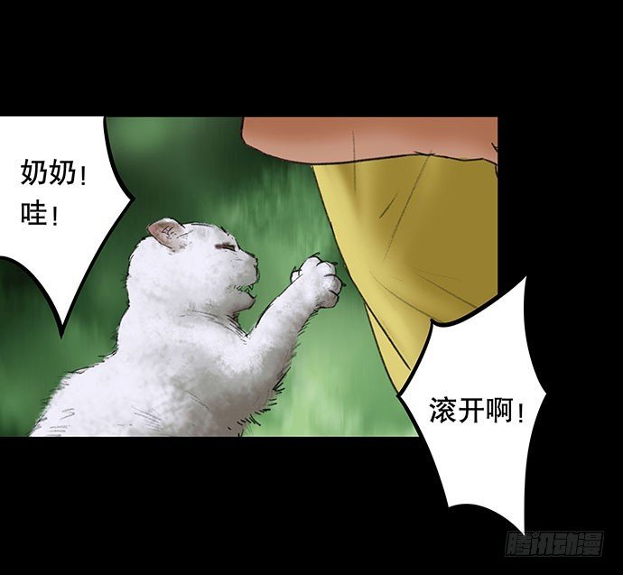 猫-2